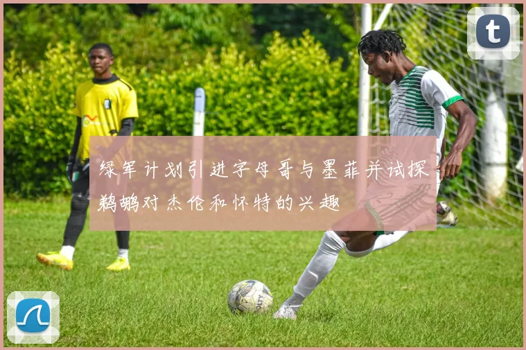 绿军计划引进字母哥与墨菲并试探鹈鹕对杰伦和怀特的兴趣