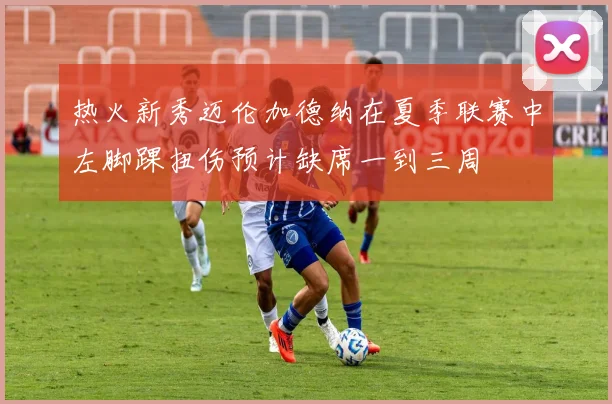热火新秀迈伦加德纳在夏季联赛中左脚踝扭伤预计缺席一到三周